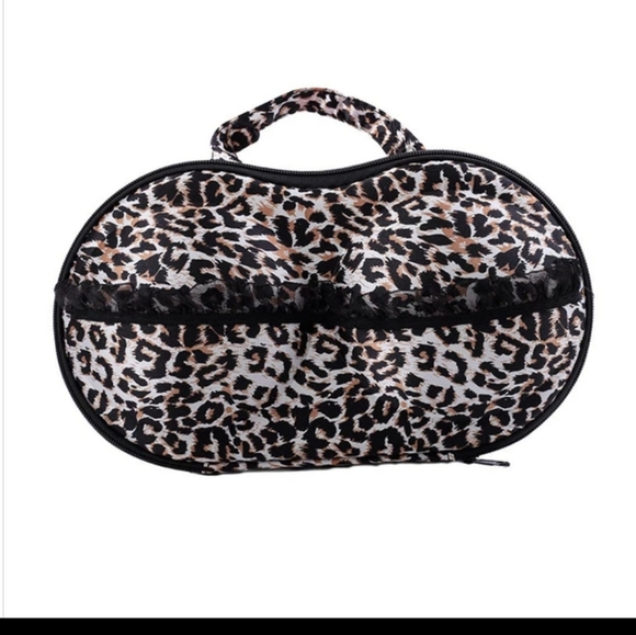 #029 BRAND NEW! FABULOUS, SEXY & CHIC BRA TRAVEL BAG BRA STORAGE BOX - Picture 10 of 15